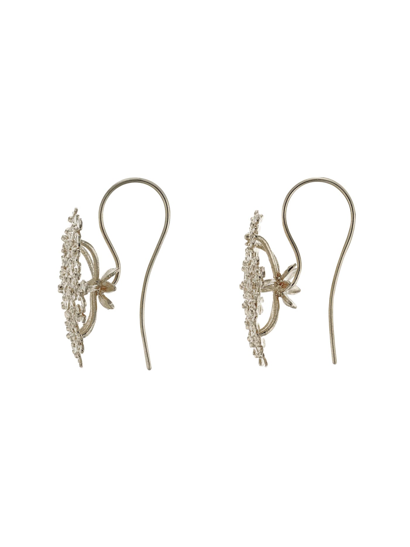 Cow Parsley Hook Earrings - Silver