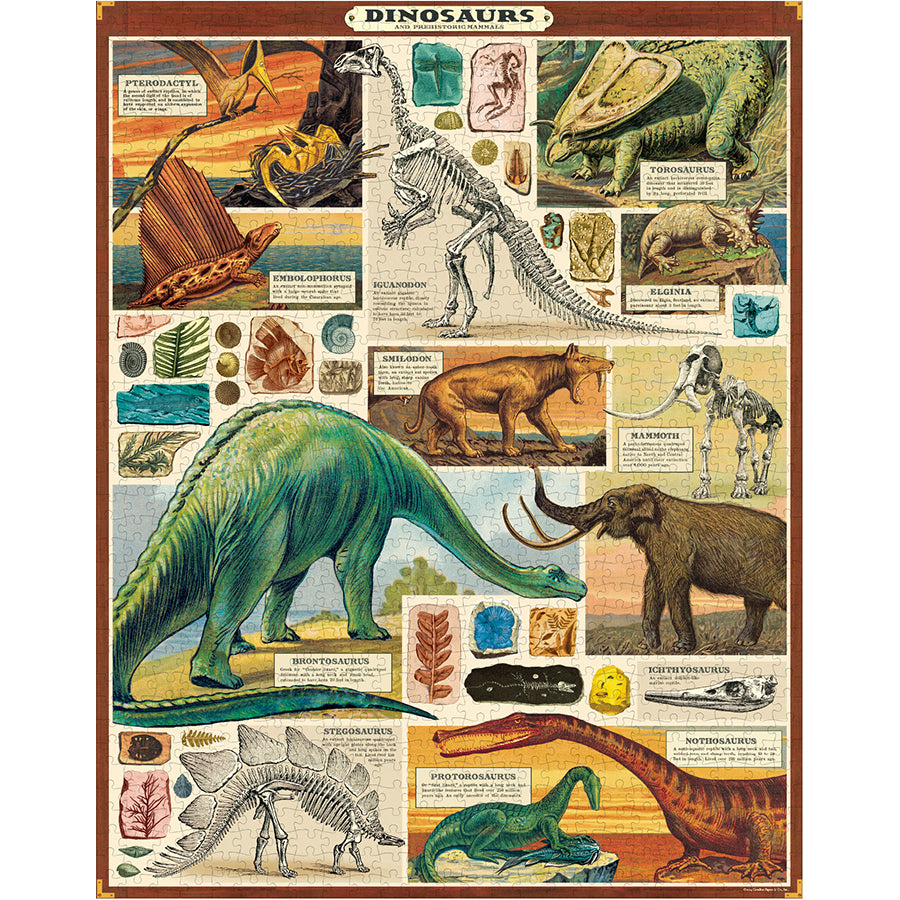 Dinosaurs 1000 Piece Puzzle
