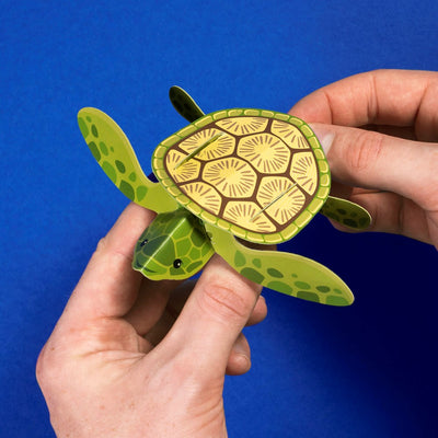 Create Your Own Baby Turtle
