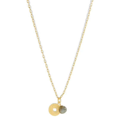 Hiral Labradorite Necklace - Gold