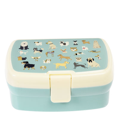 Sectioned Lunch Box