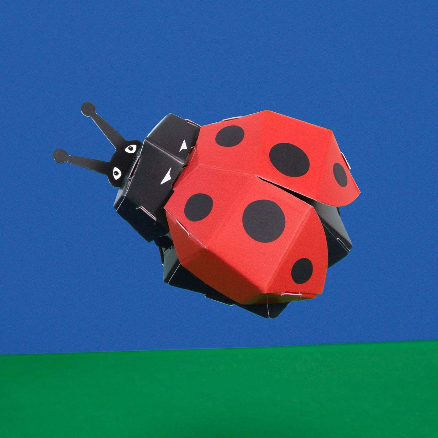 Create Your Own Lovely Ladybird Kit