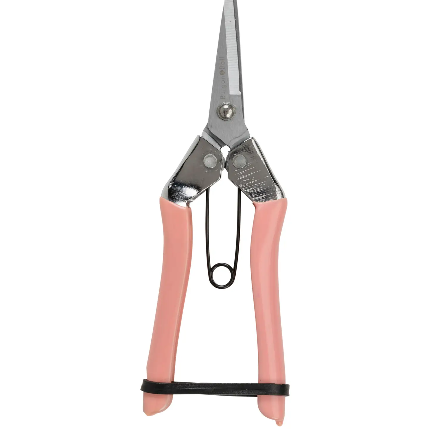 Fruit & Flower Snips - Blush