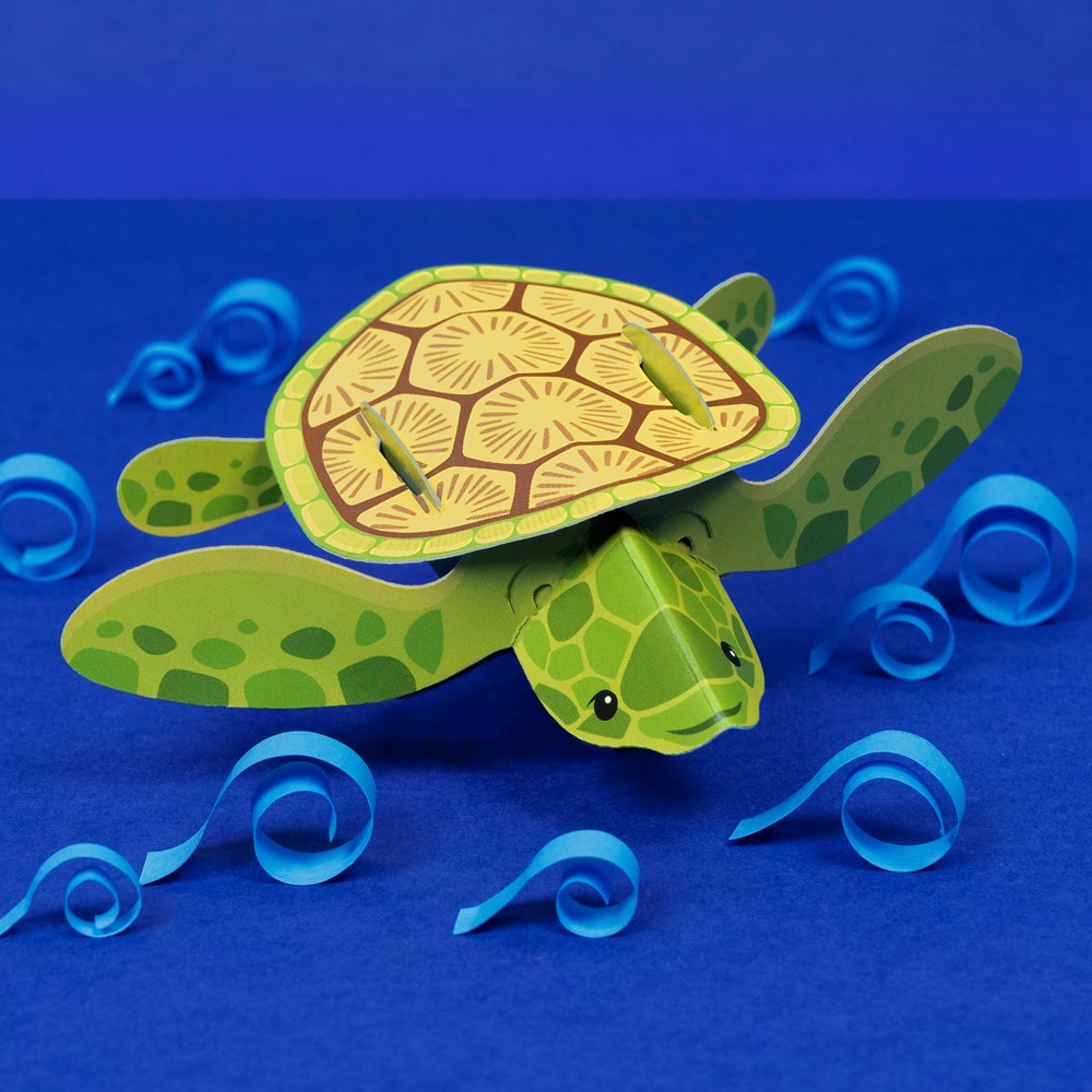 Create Your Own Baby Turtle