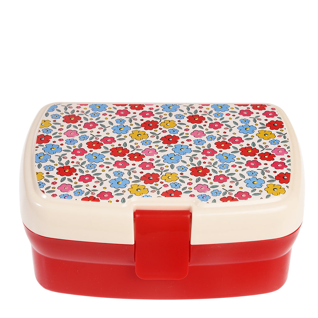 Sectioned Lunch Box