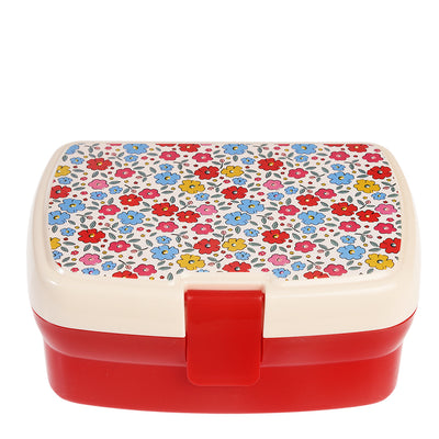 Sectioned Lunch Box