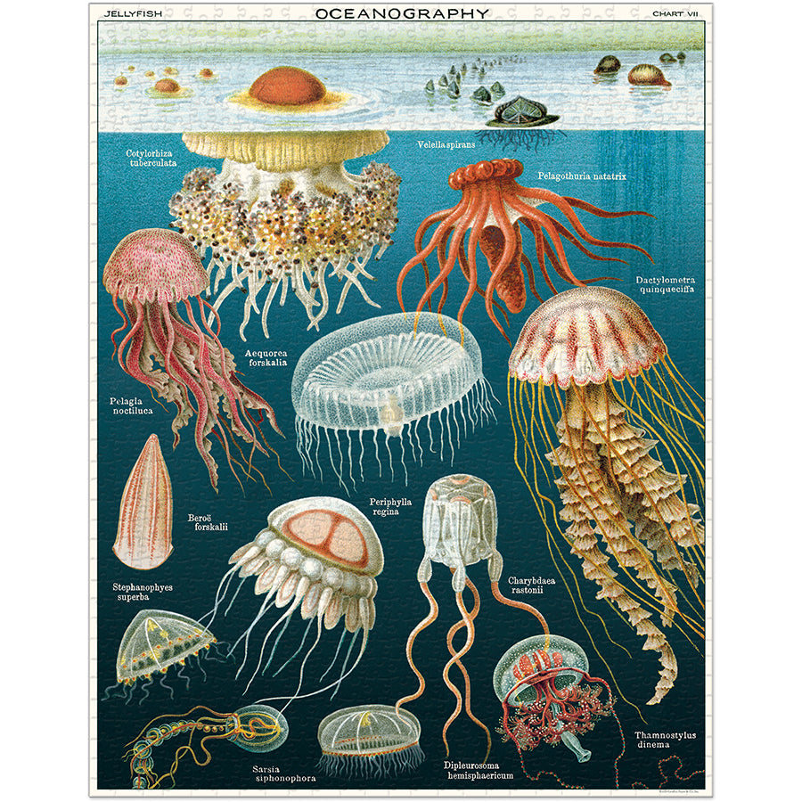 Jelly Fish 1000 Piece Puzzle
