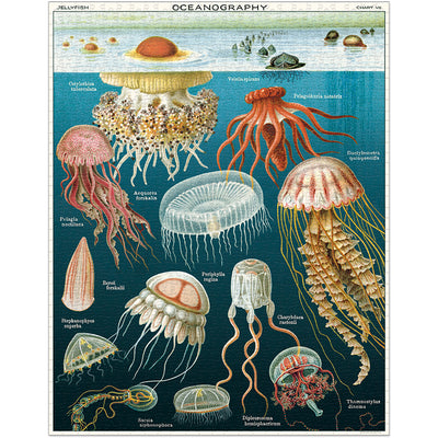 Jelly Fish 1000 Piece Puzzle