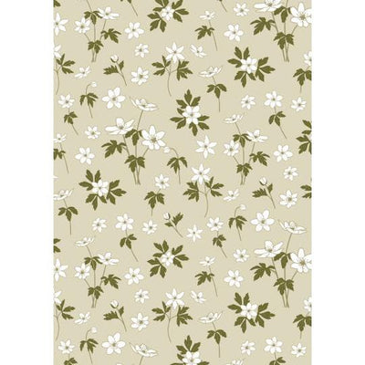 Paper Gift Wrap Roll - Anemones