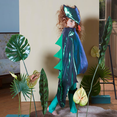 Dragon Dress Up Costume