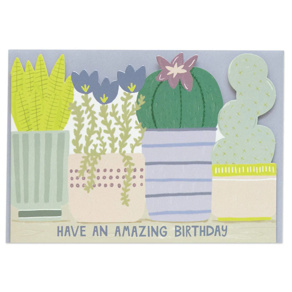 Have An Amazing Birthday Plant Pot Card