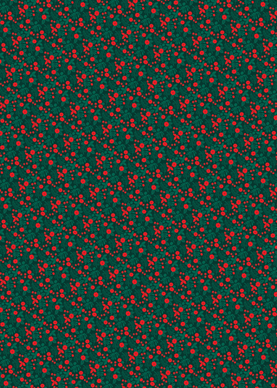 Festive Flowers Double Sided Wrapping Paper