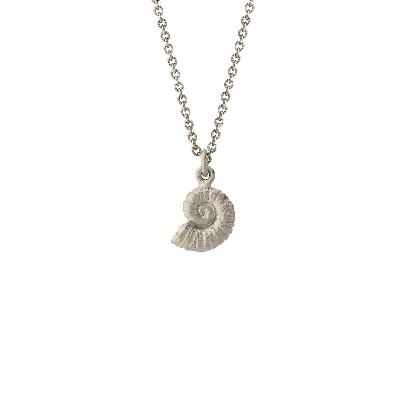 Ammonite Necklace - Silver