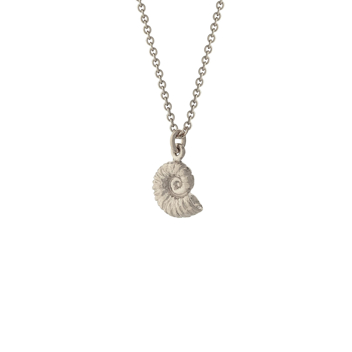 Ammonite Necklace - Silver