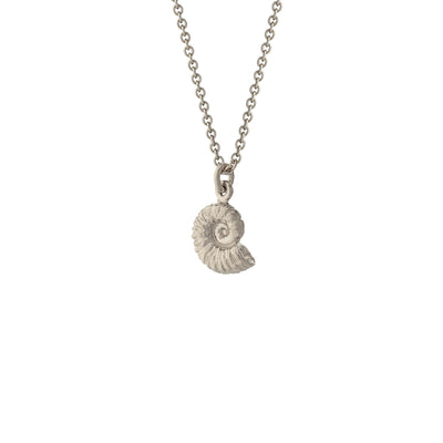Ammonite Necklace - Silver
