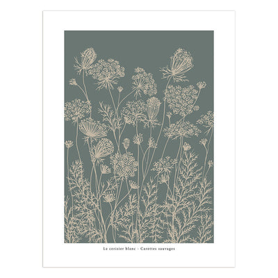 Wild Carrot 'Carottes Sauvages' Print - 30 x 40cm