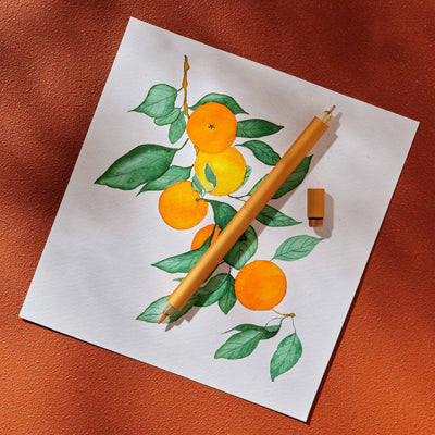 The Lumos Pro Duo Tip in Clementine - Two Refillable Pens with Multiple Tips