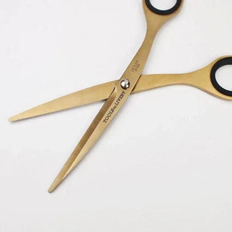 6.5" Scissors from Tools to Liveby