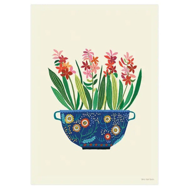 A3 Hyacinths Art Print by Brie Harrison