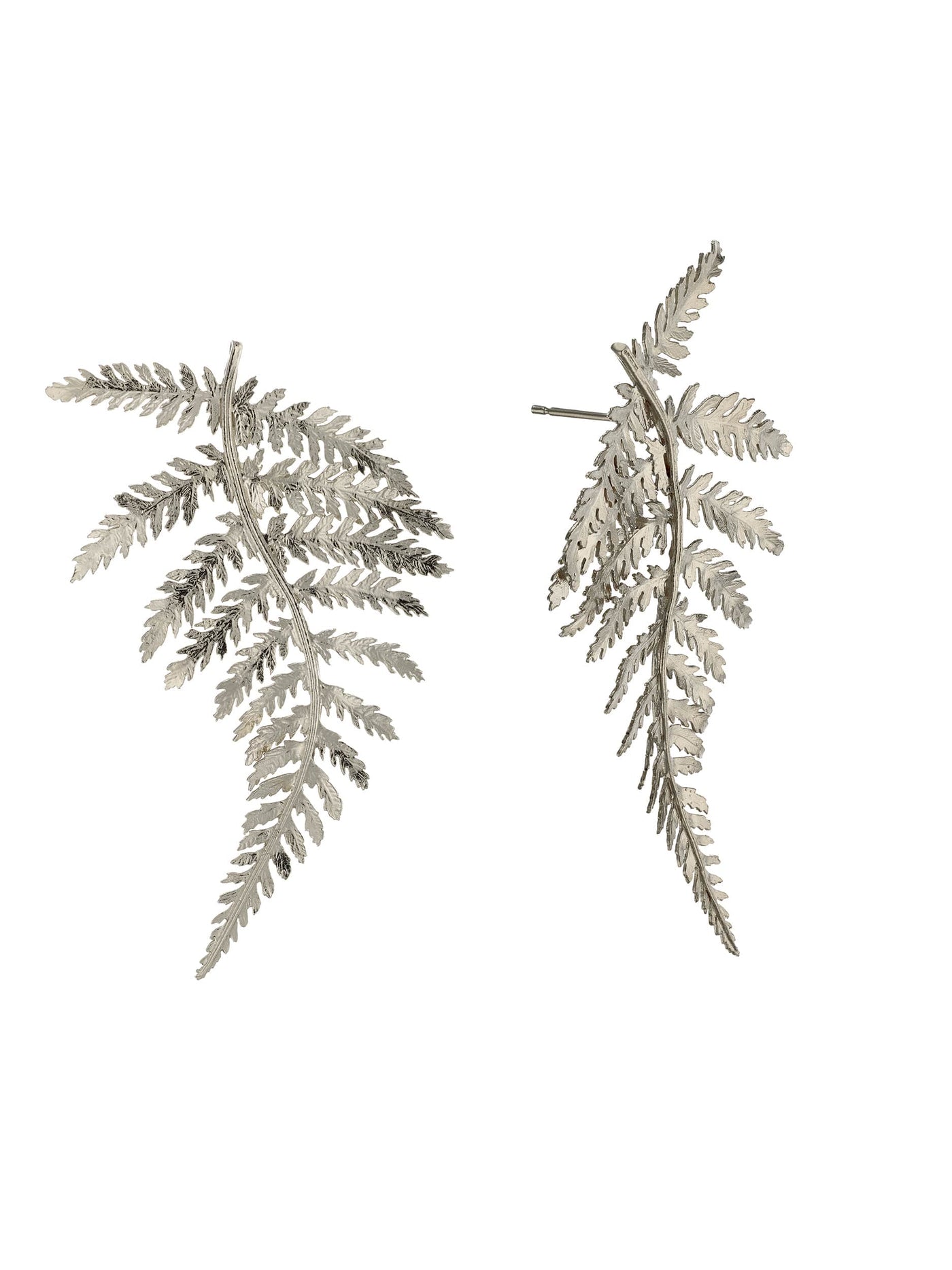 Statement Fern Earrings - Silver