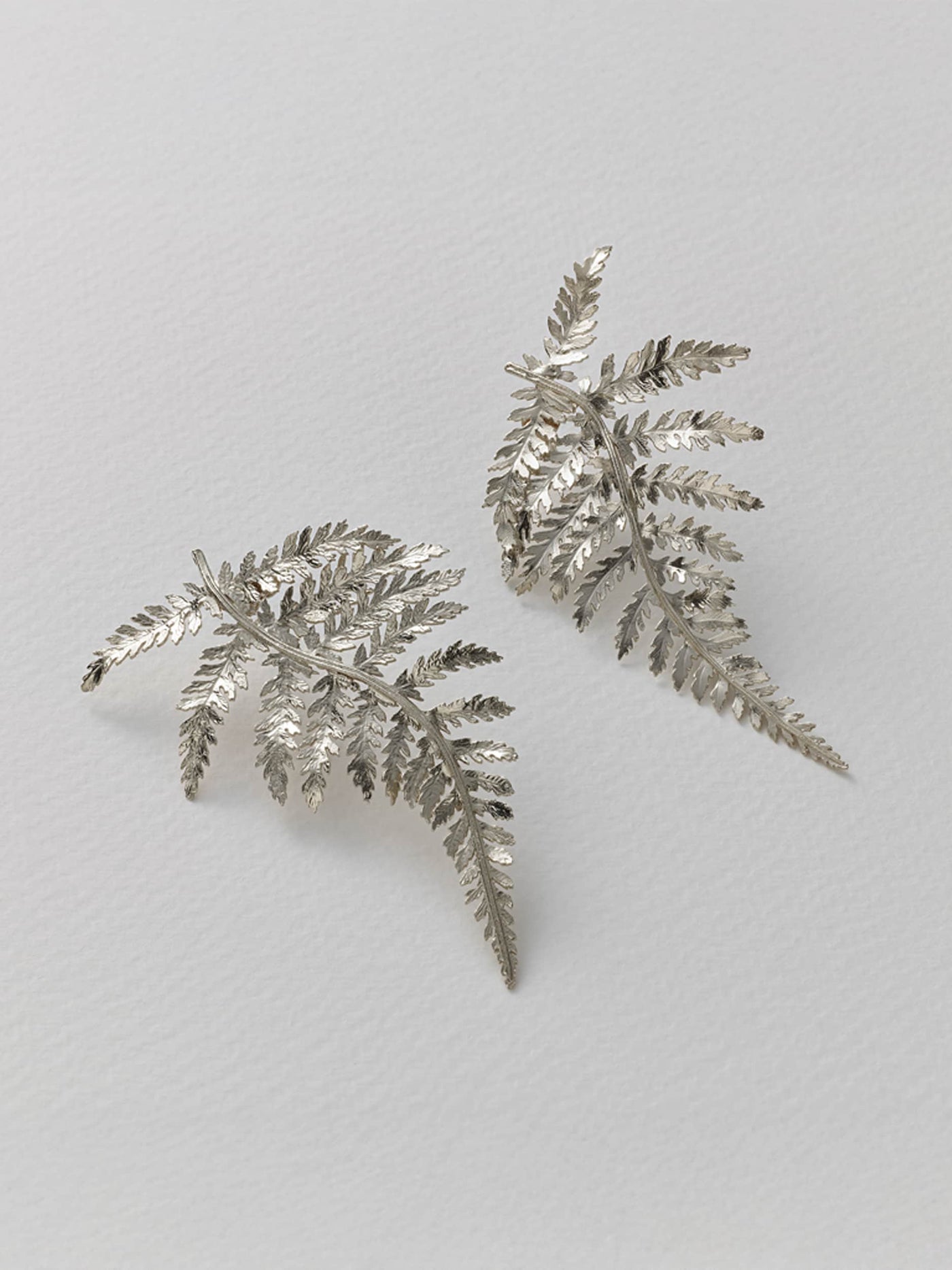Statement Fern Earrings - Silver
