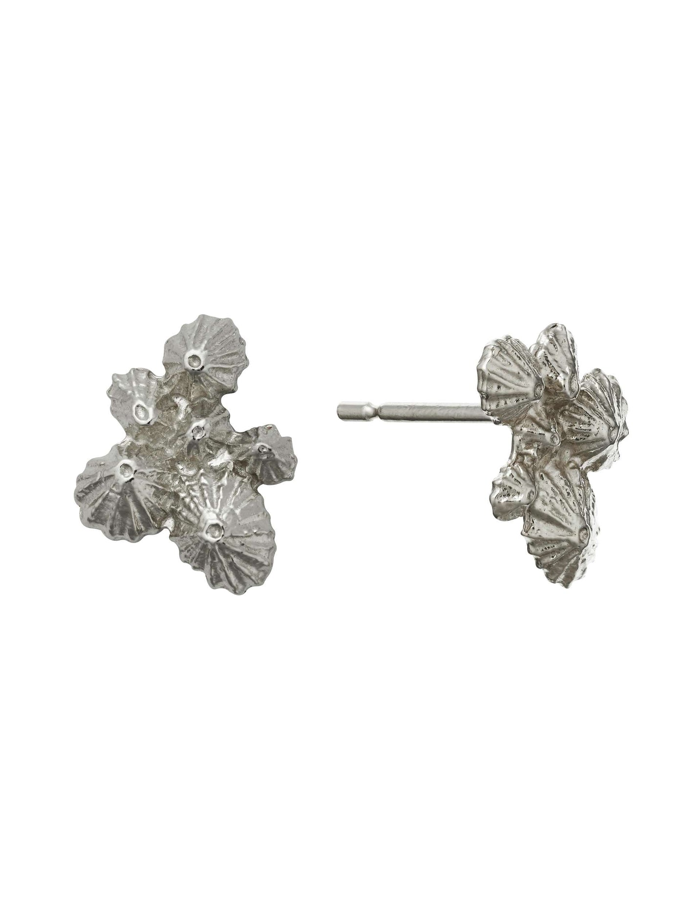 Limpet Cluster Stud Earrings - Silver