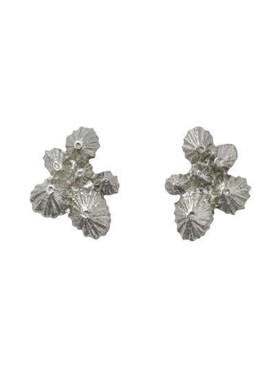 Limpet Cluster Stud Earrings - Silver