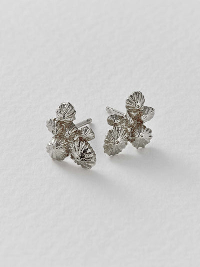 Limpet Cluster Stud Earrings - Silver
