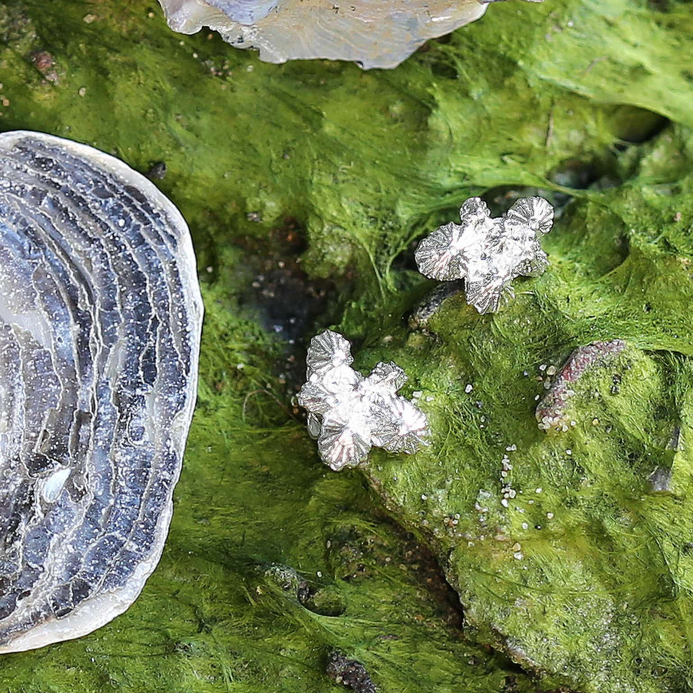 Limpet Cluster Stud Earrings - Silver