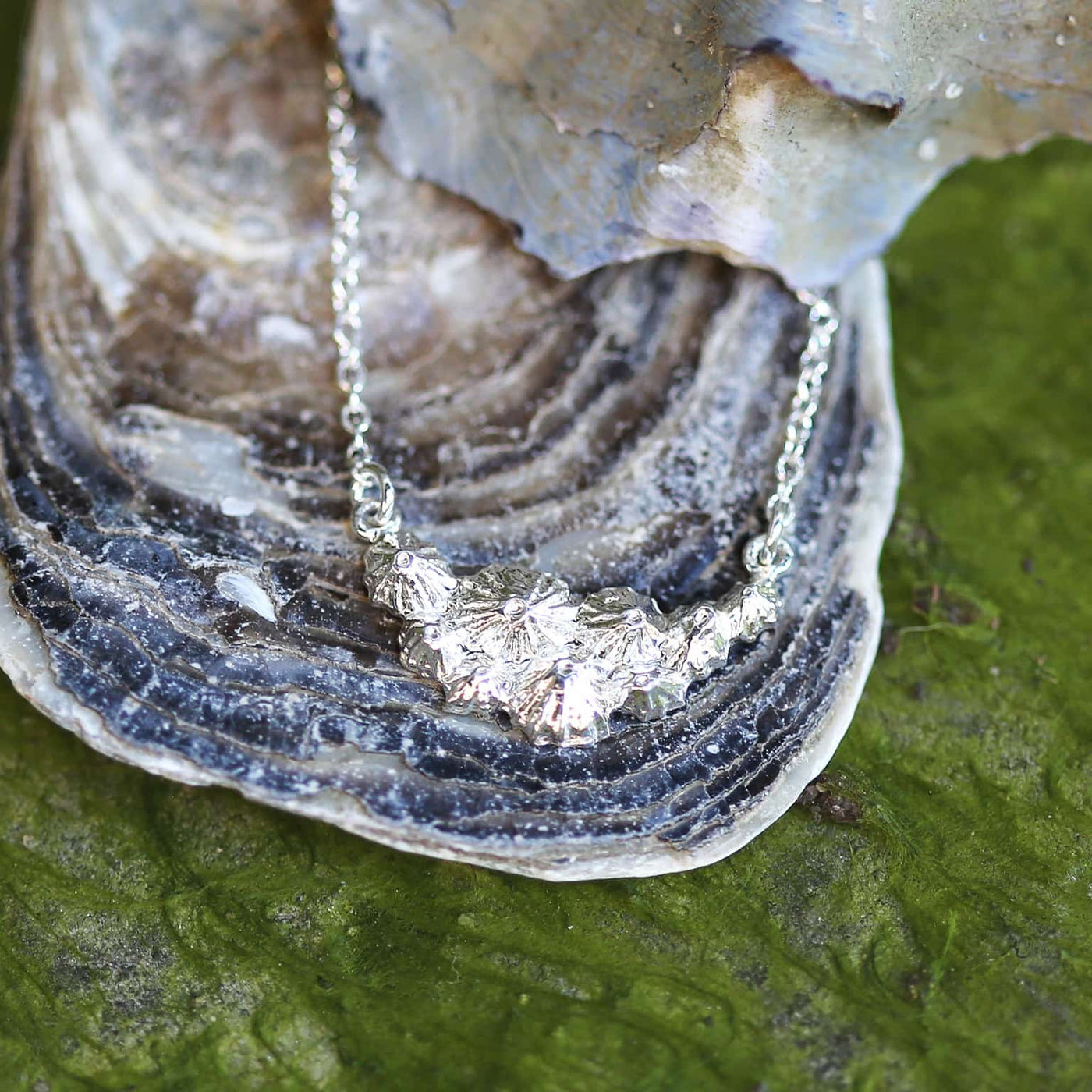 Limpet Cluster Inline Necklace - Silver