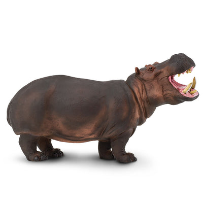 Giant Hippo