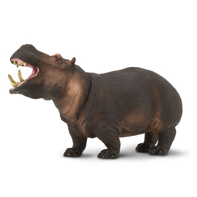 Giant Hippo