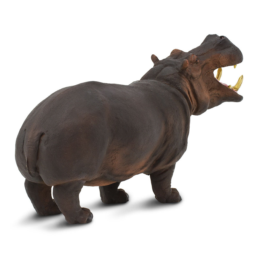 Giant Hippo