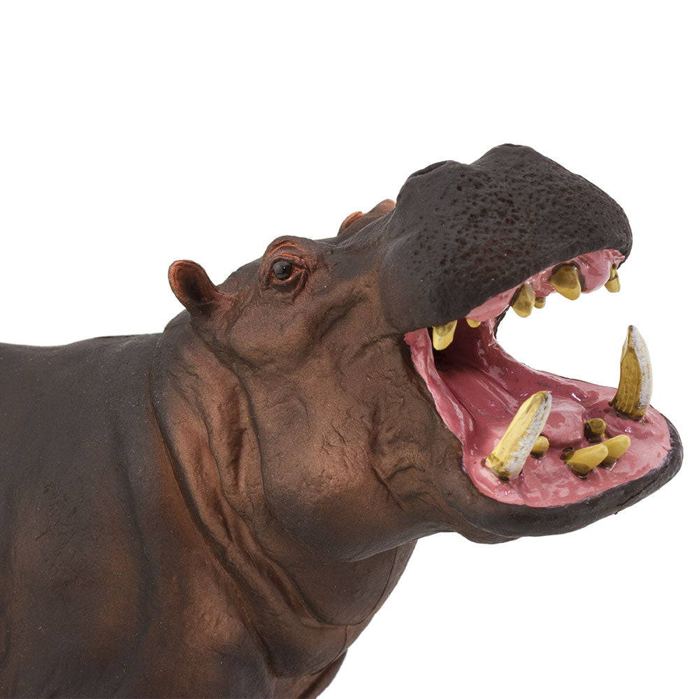 Giant Hippo