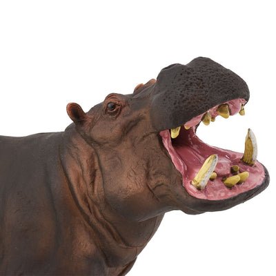 Giant Hippo