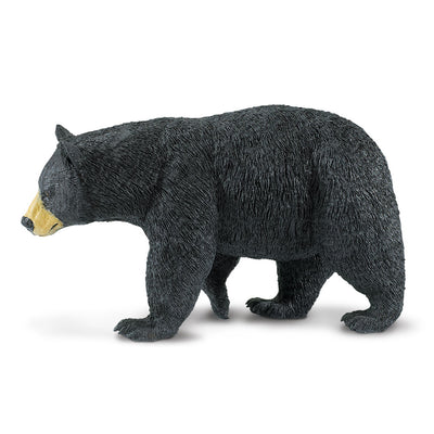 Giant Black Bear