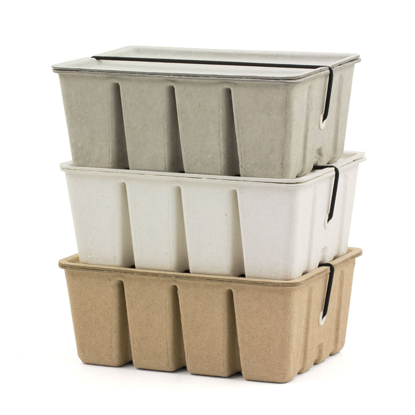 Midori Pulp Storage Card Box