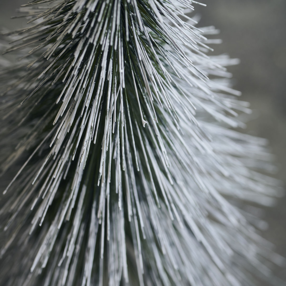 Nature Sprinkle Christmas Tree - Large