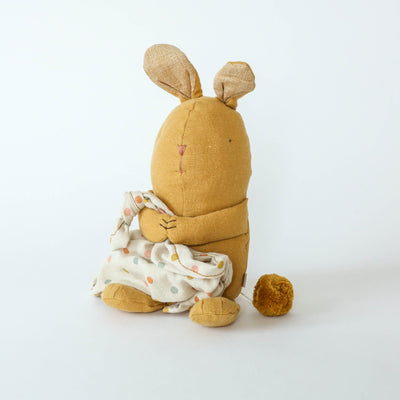 Lullaby Friends Musical Toy