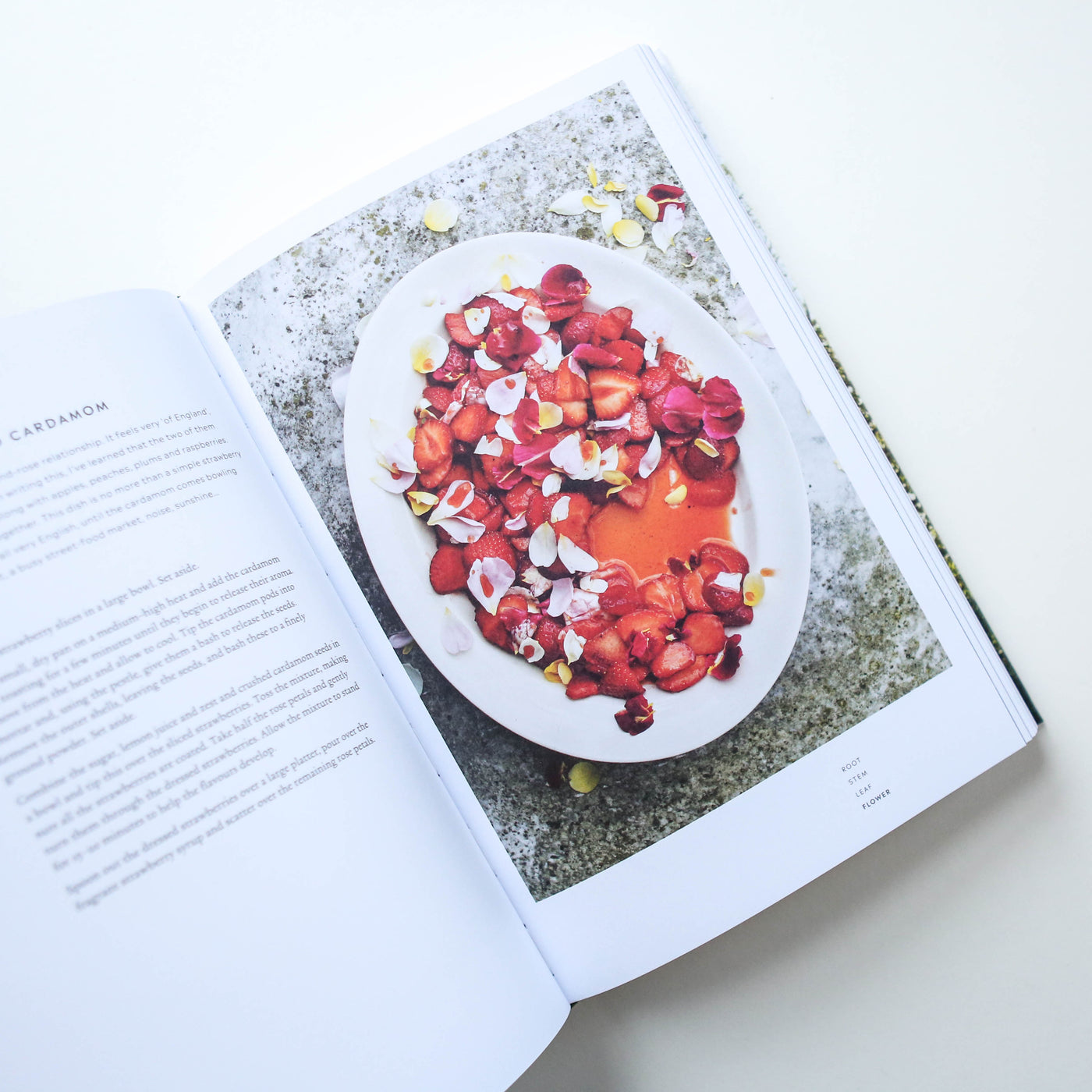 SALE Root, Stem, Leaf, Flower Book