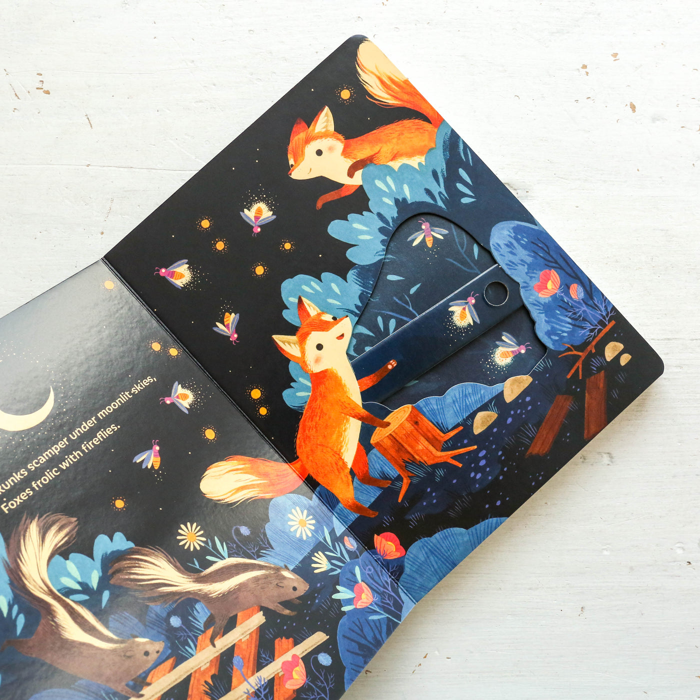 Moonlight Prance Interactive Book