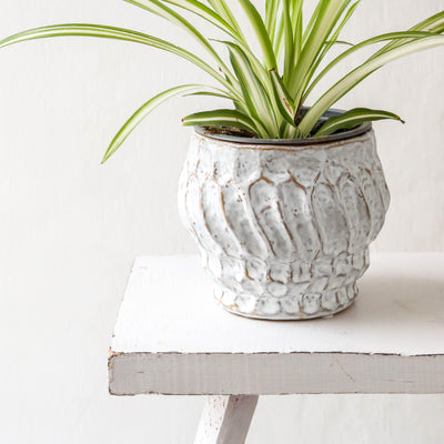 Cami White Stoneware Planter