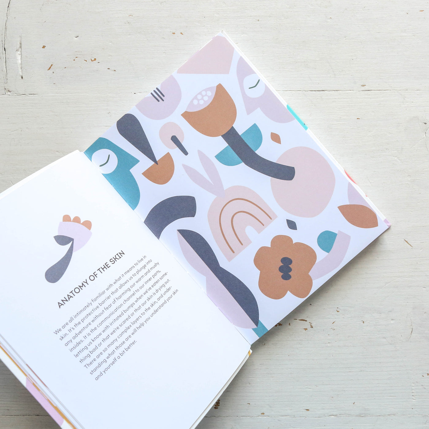 Fresh Face Beauty Book