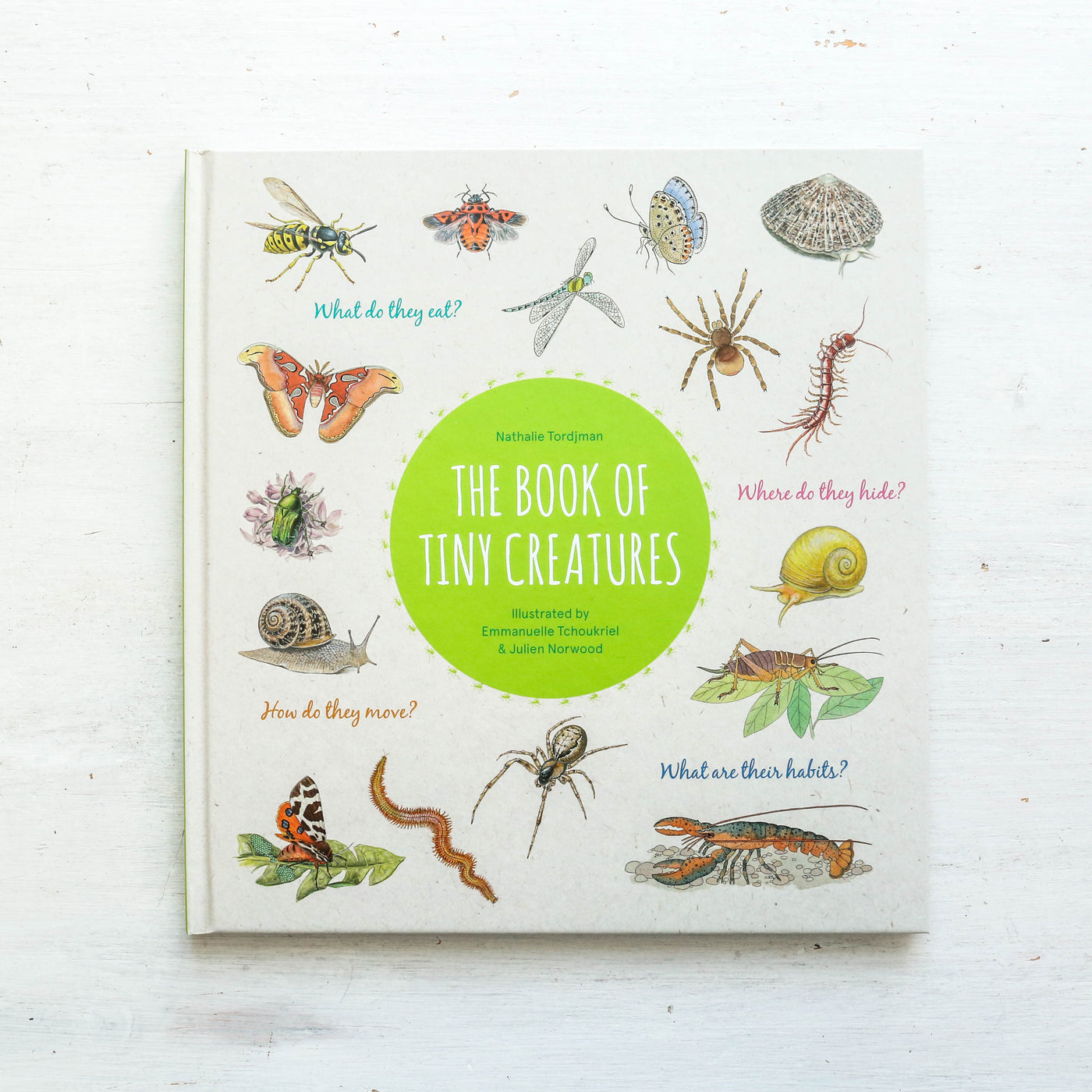 The Book of Tiny Creatures