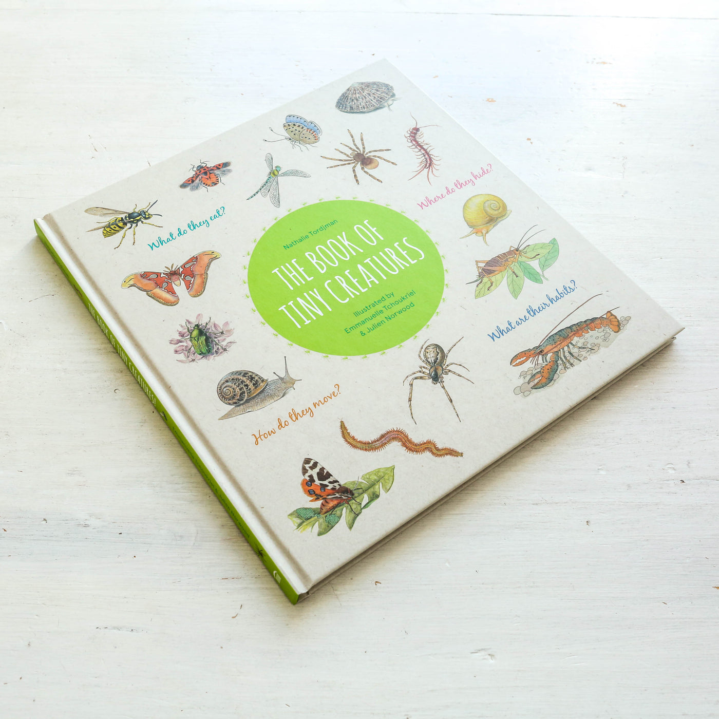 The Book of Tiny Creatures