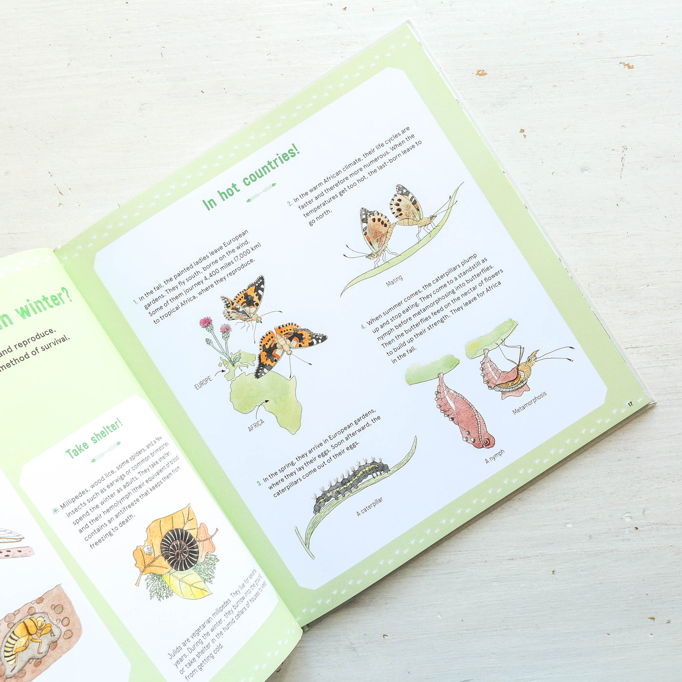 The Book of Tiny Creatures