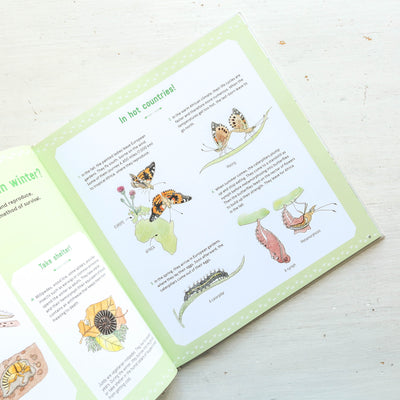 The Book of Tiny Creatures