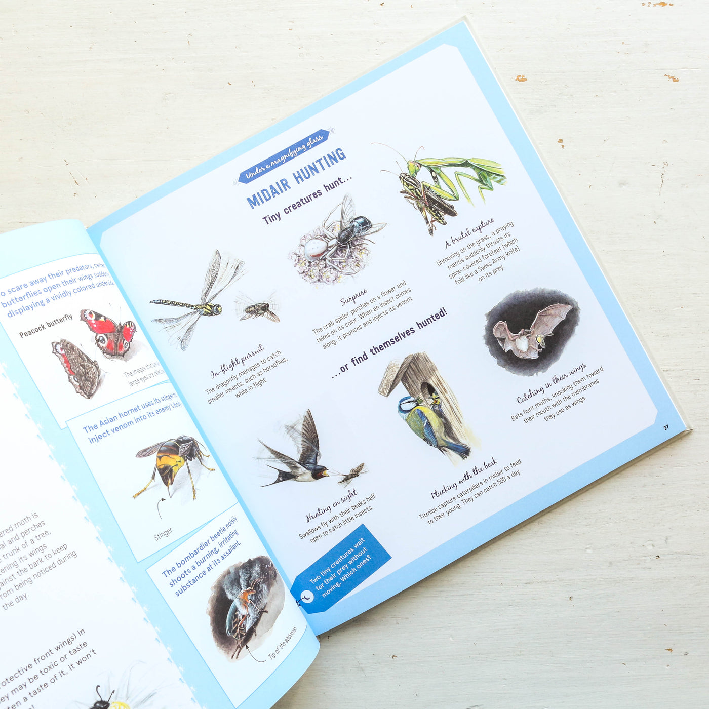 The Book of Tiny Creatures