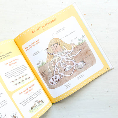 The Book of Tiny Creatures