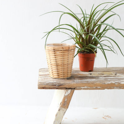 Rattan Covered Planter